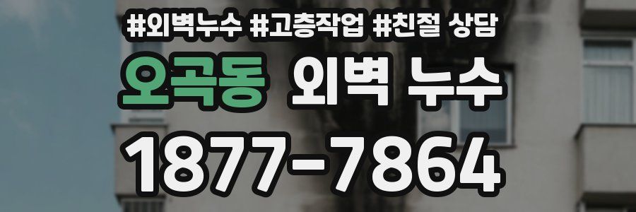 오곡동 외벽 누수