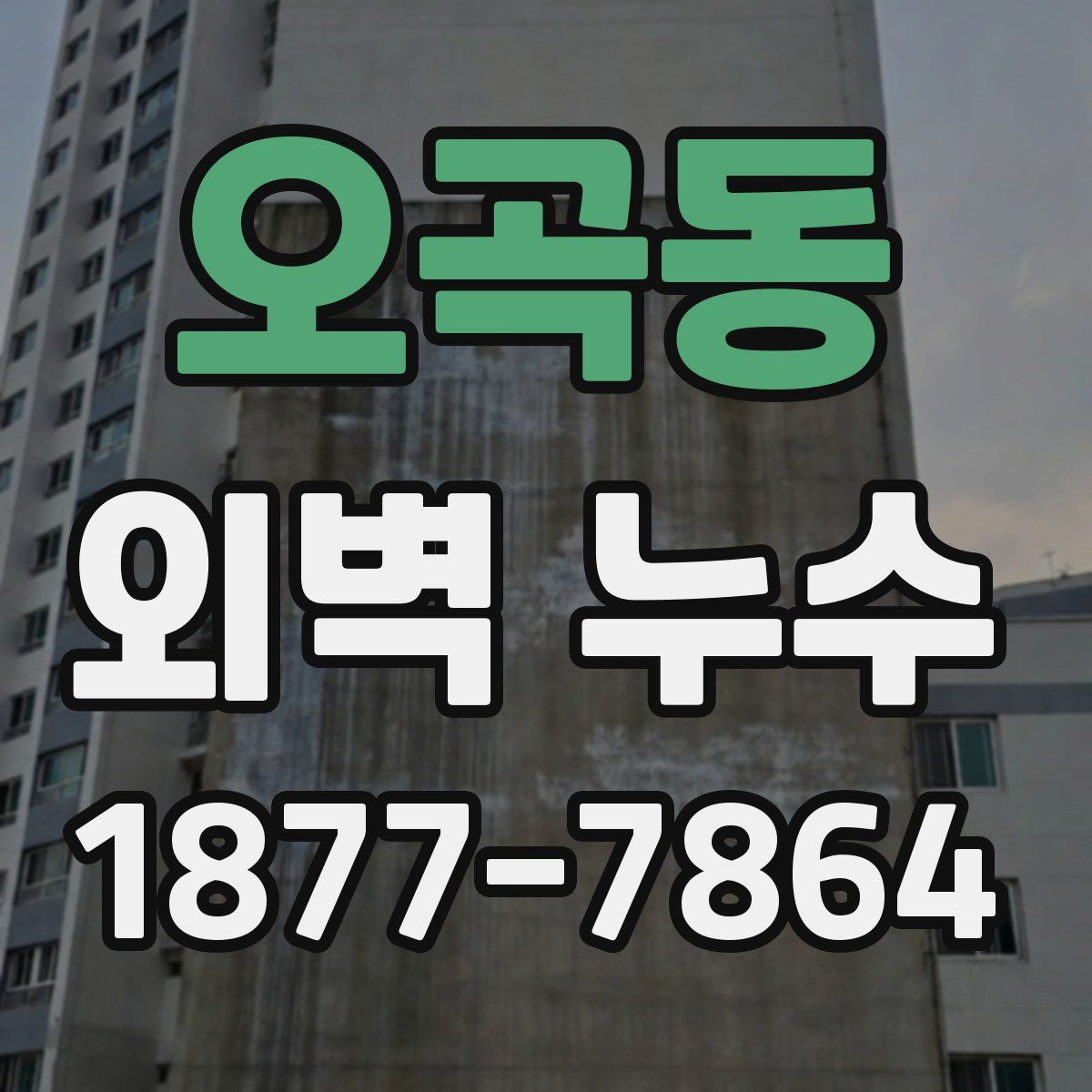 오곡동 외벽 누수