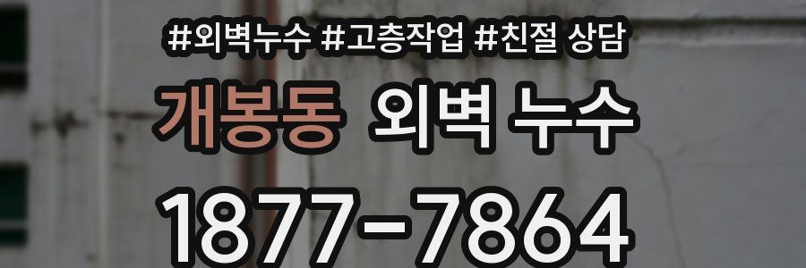 개봉동 외벽 누수