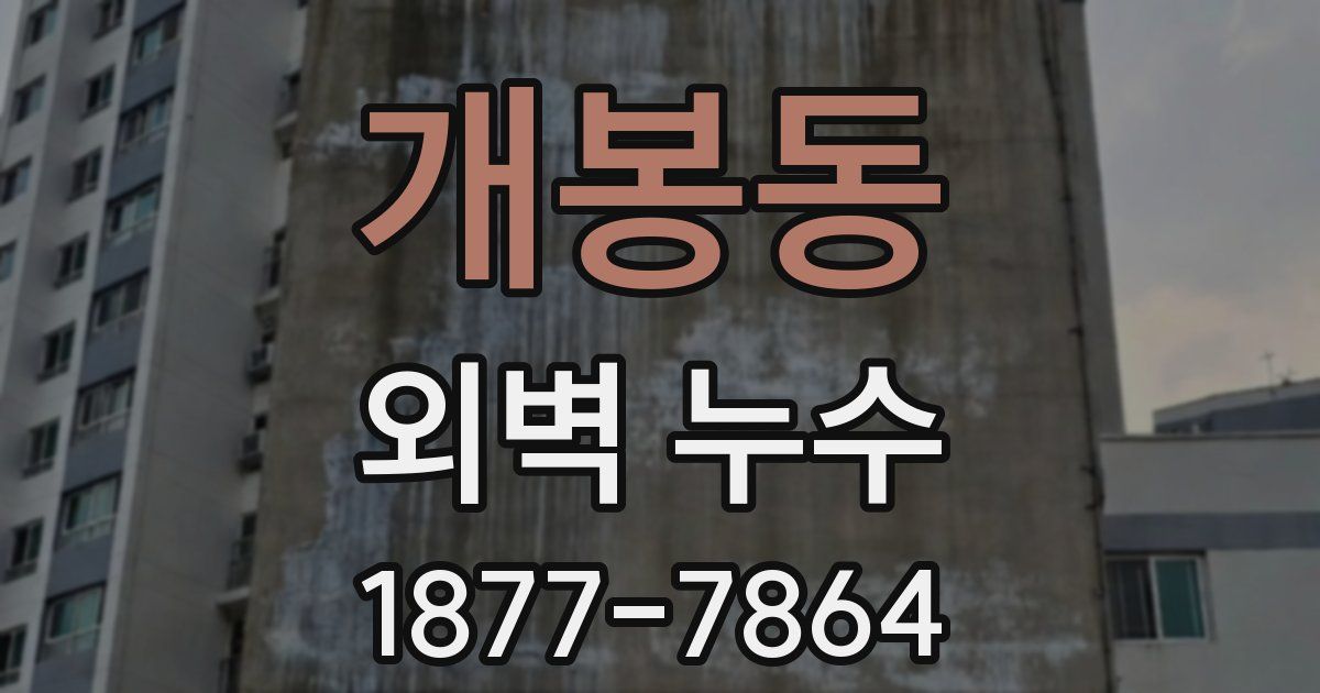 개봉동 외벽 누수