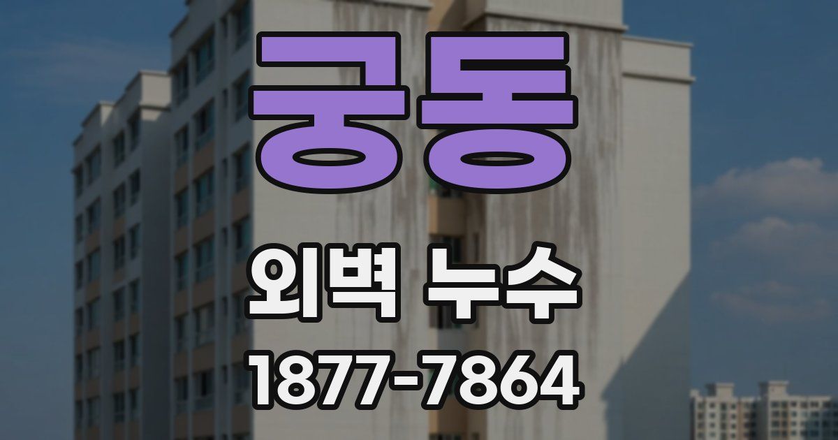 궁동 외벽 누수