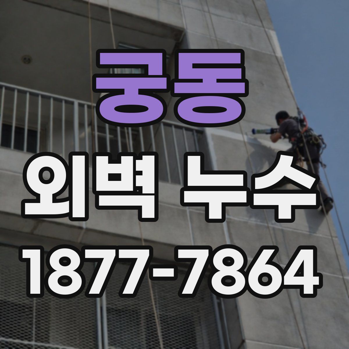 궁동 외벽 누수