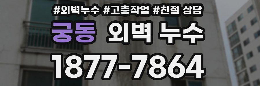 궁동 외벽 누수