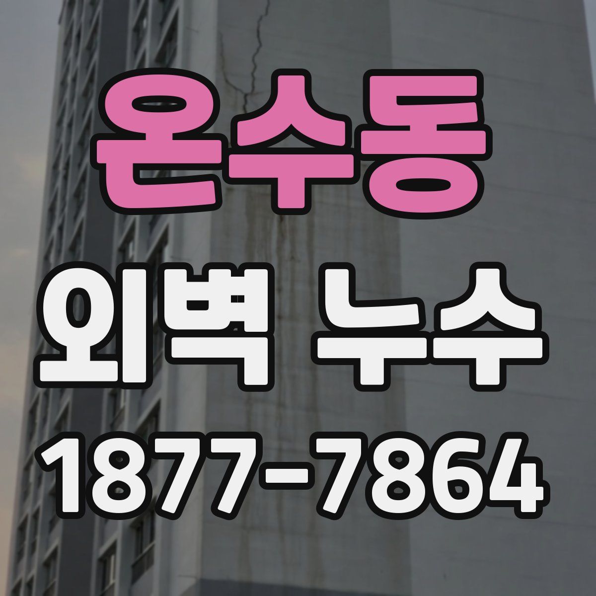 온수동 외벽 누수