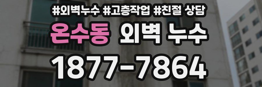 온수동 외벽 누수