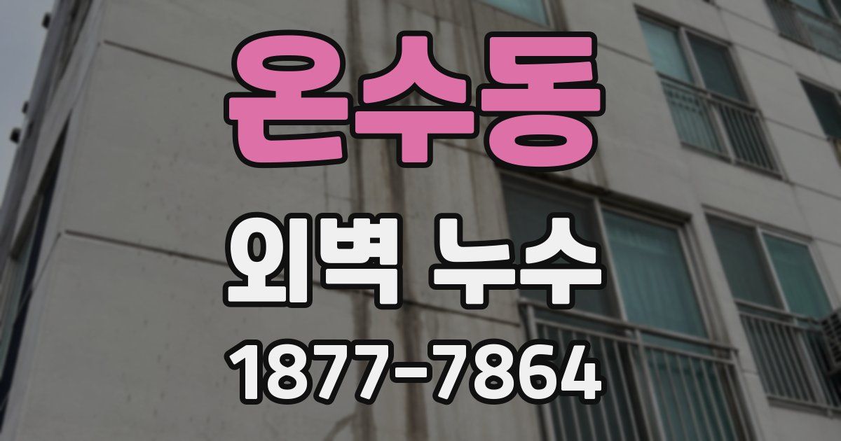 온수동 외벽 누수
