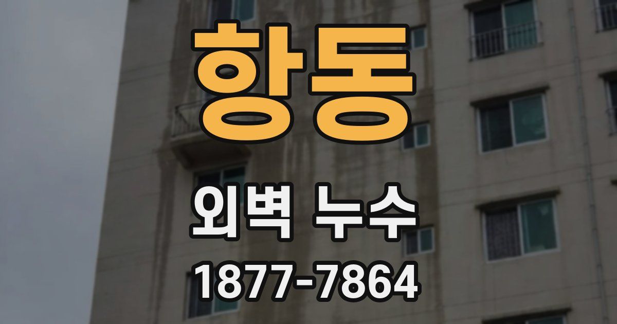 항동 외벽 누수