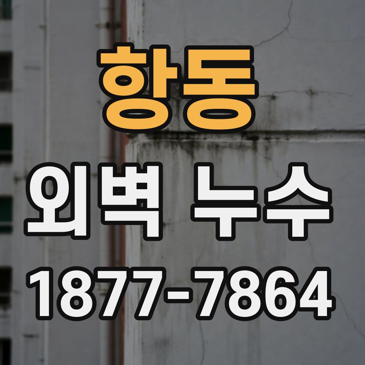 항동 외벽 누수