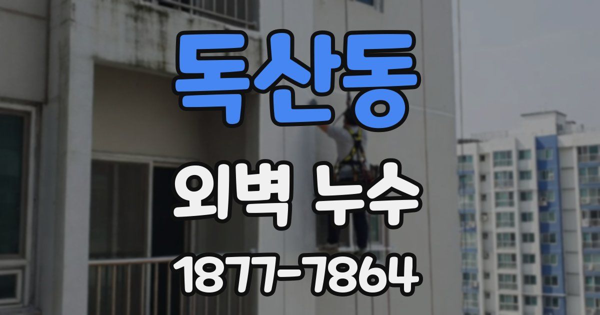 독산동 외벽 누수