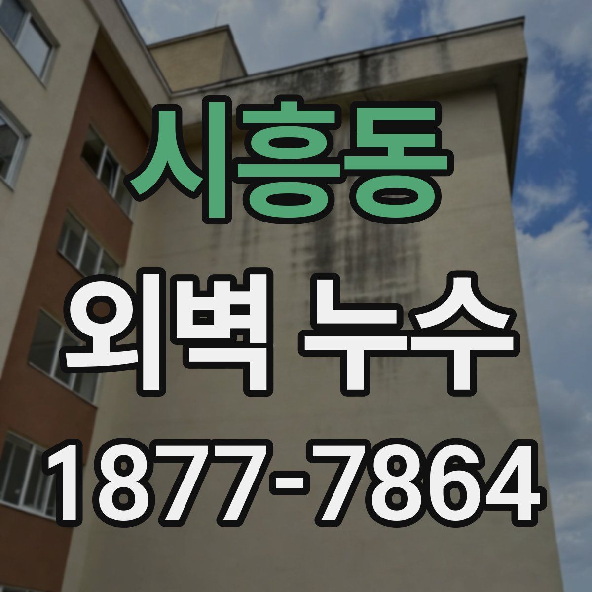 시흥동 외벽 누수