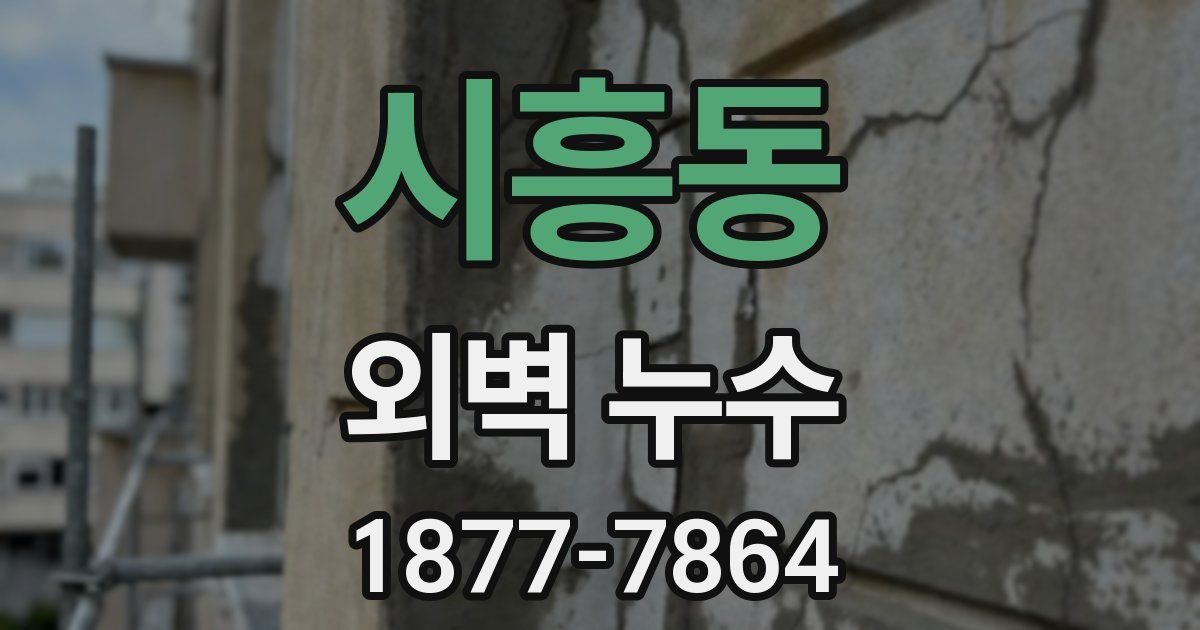 시흥동 외벽 누수