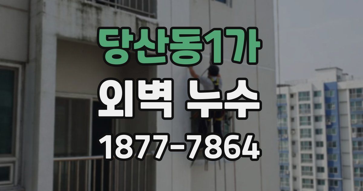 당산동1가 외벽 누수