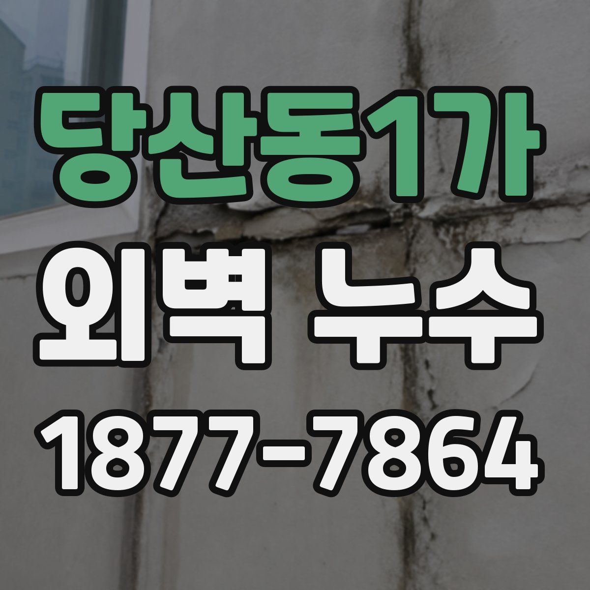 당산동1가 외벽 누수