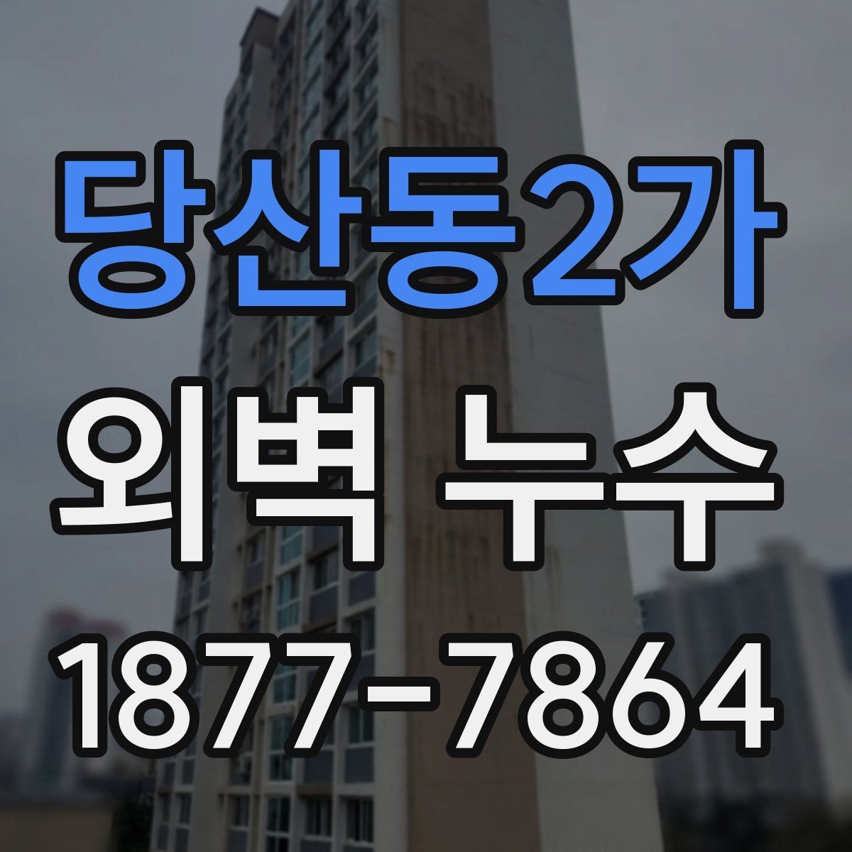 당산동2가 외벽 누수 점검은 어떤 순서로 진행할까