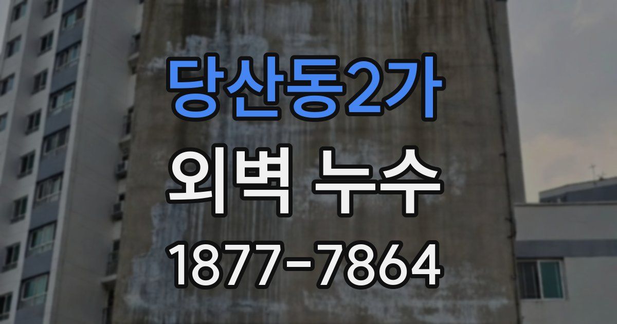 당산동2가 외벽 누수