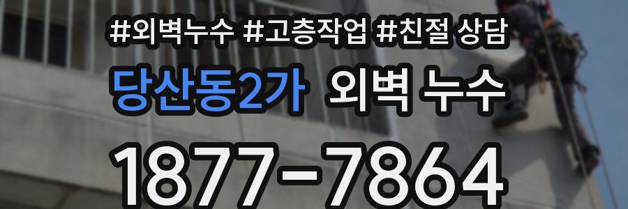 당산동2가 외벽 누수
