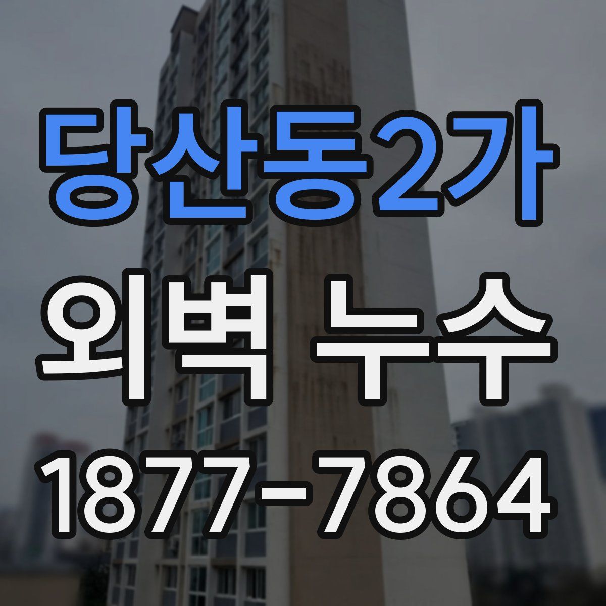 당산동2가 외벽 누수