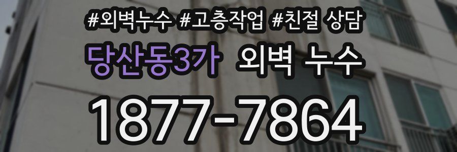 당산동3가 외벽 누수