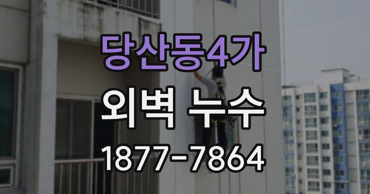 당산동4가 외벽 누수
