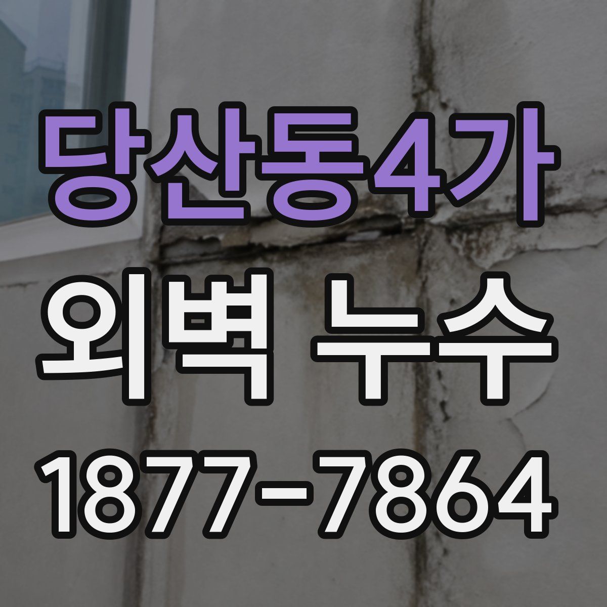 당산동4가 외벽 누수