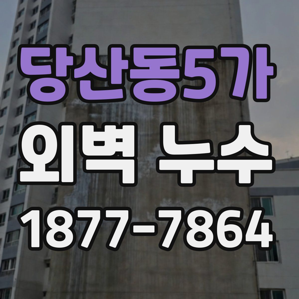 당산동5가 외벽 누수