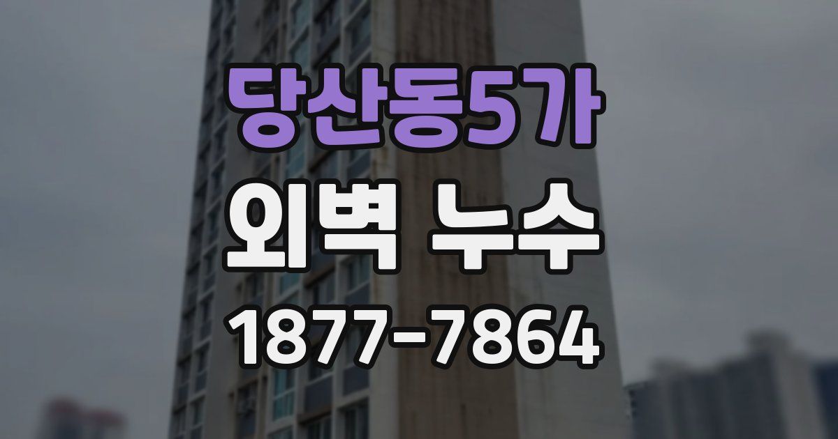 당산동5가 외벽 누수