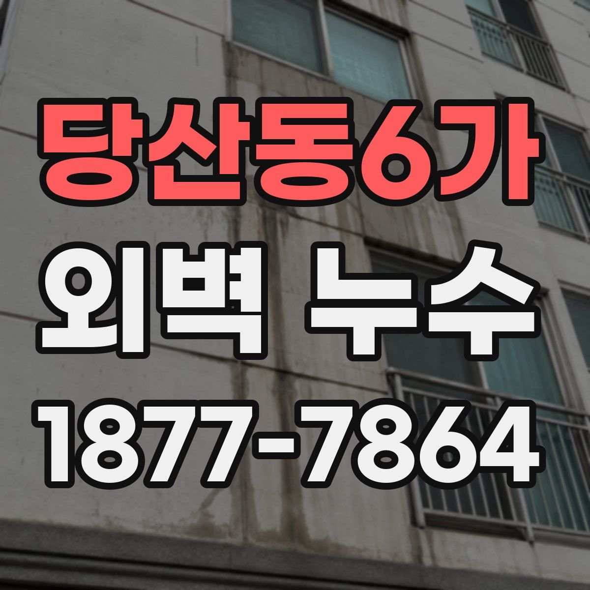 당산동6가 외벽 누수