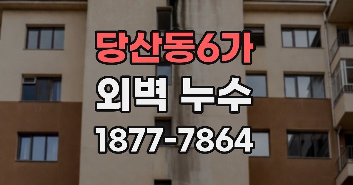 당산동6가 외벽 누수