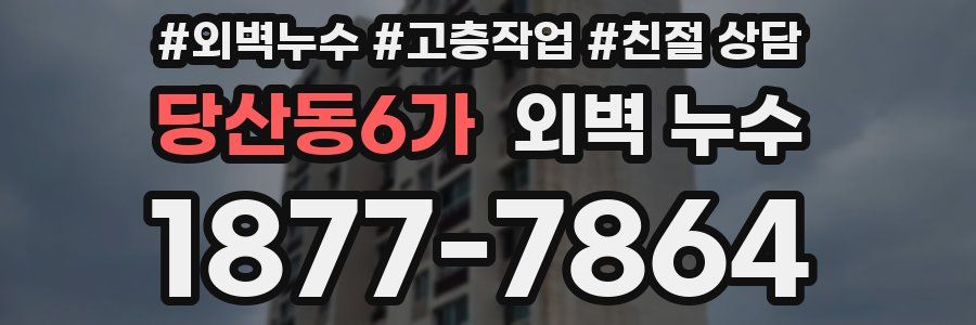 당산동6가 외벽 누수