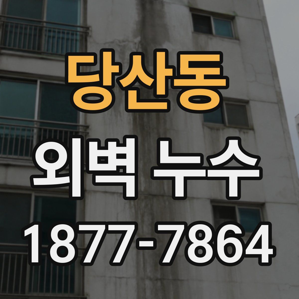 당산동 외벽 누수