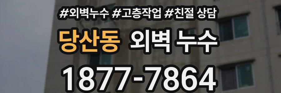당산동 외벽 누수