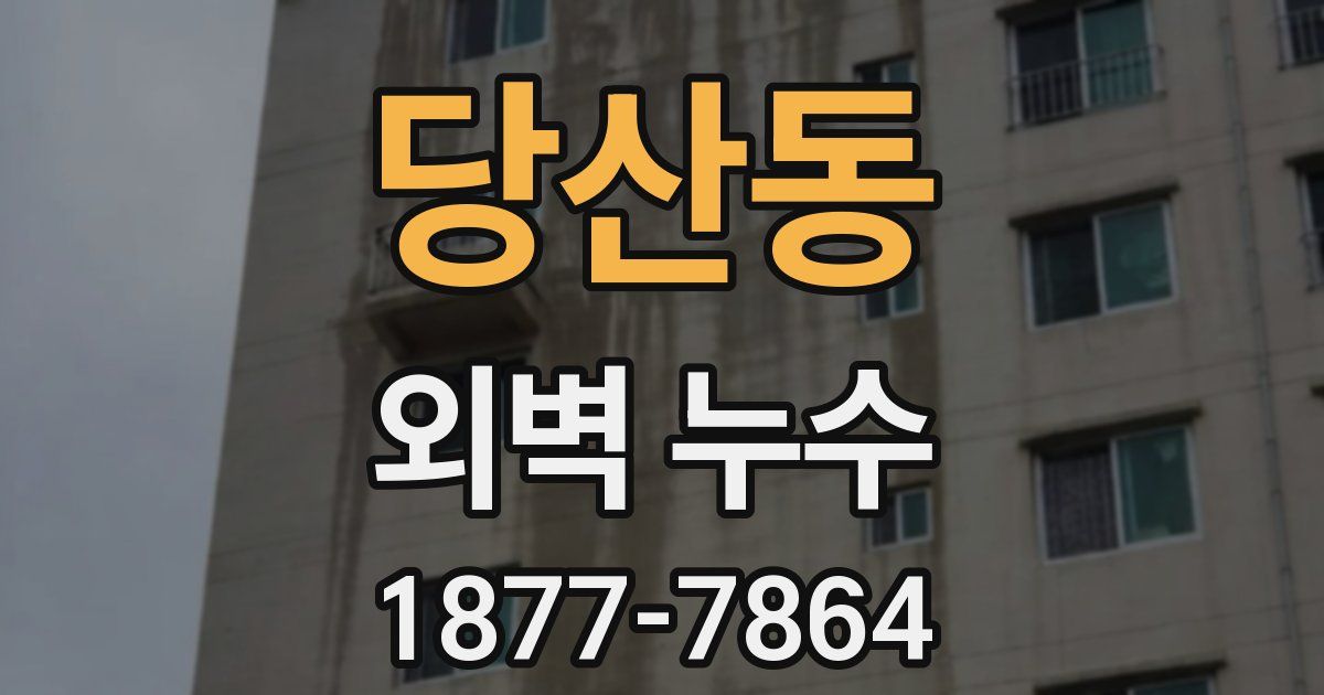 당산동 외벽 누수