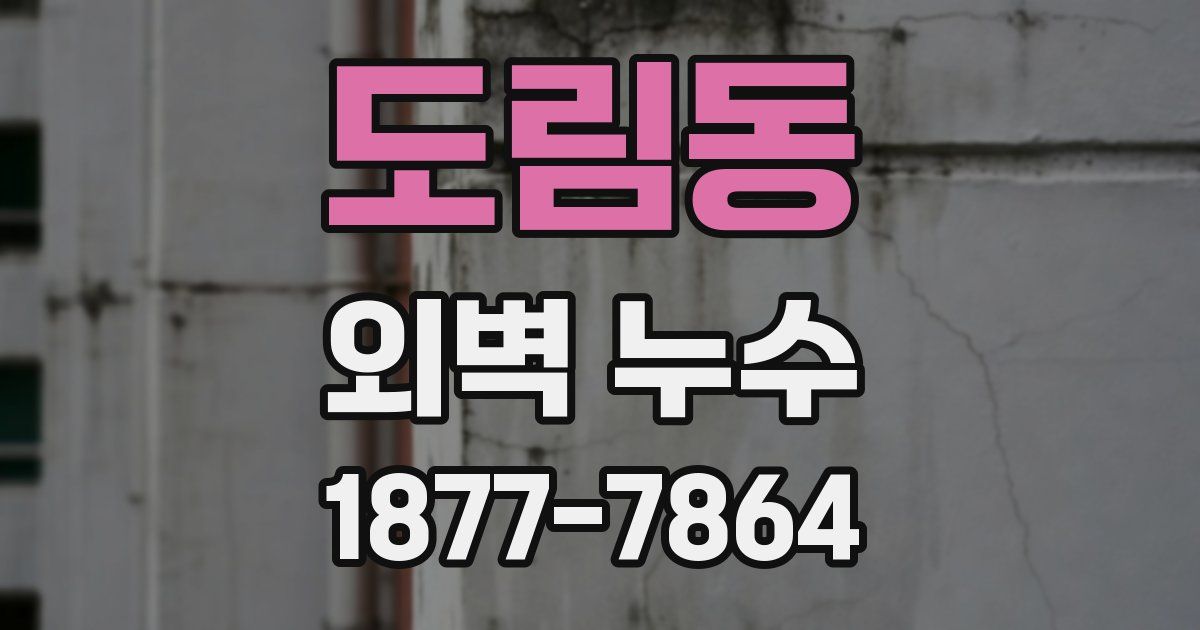 도림동 외벽 누수