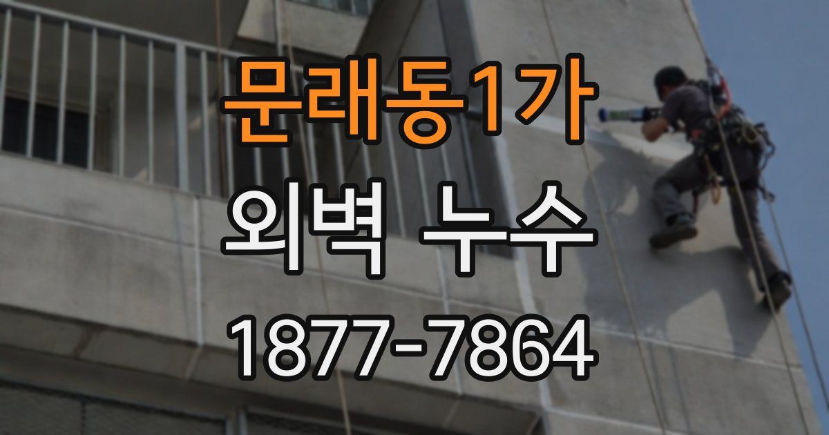 문래동1가 외벽 누수