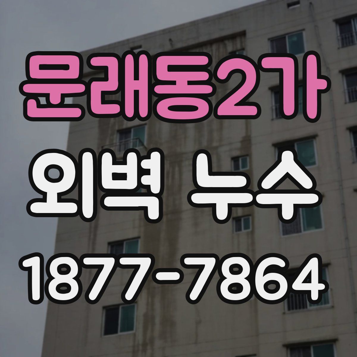 문래동2가 외벽 누수