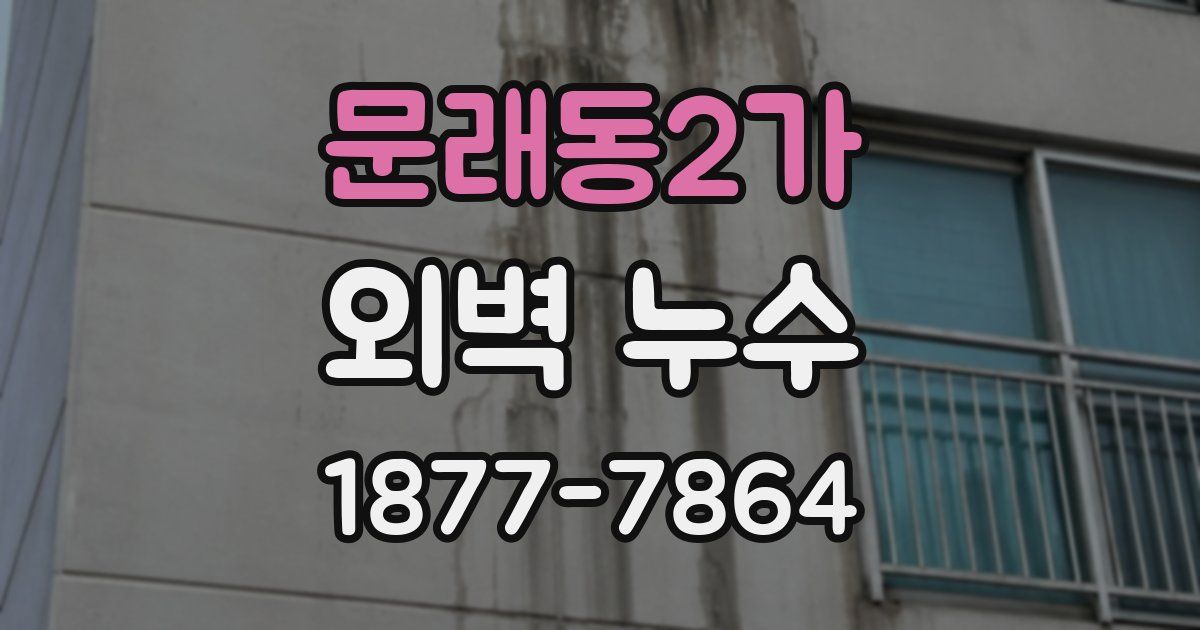 문래동2가 외벽 누수
