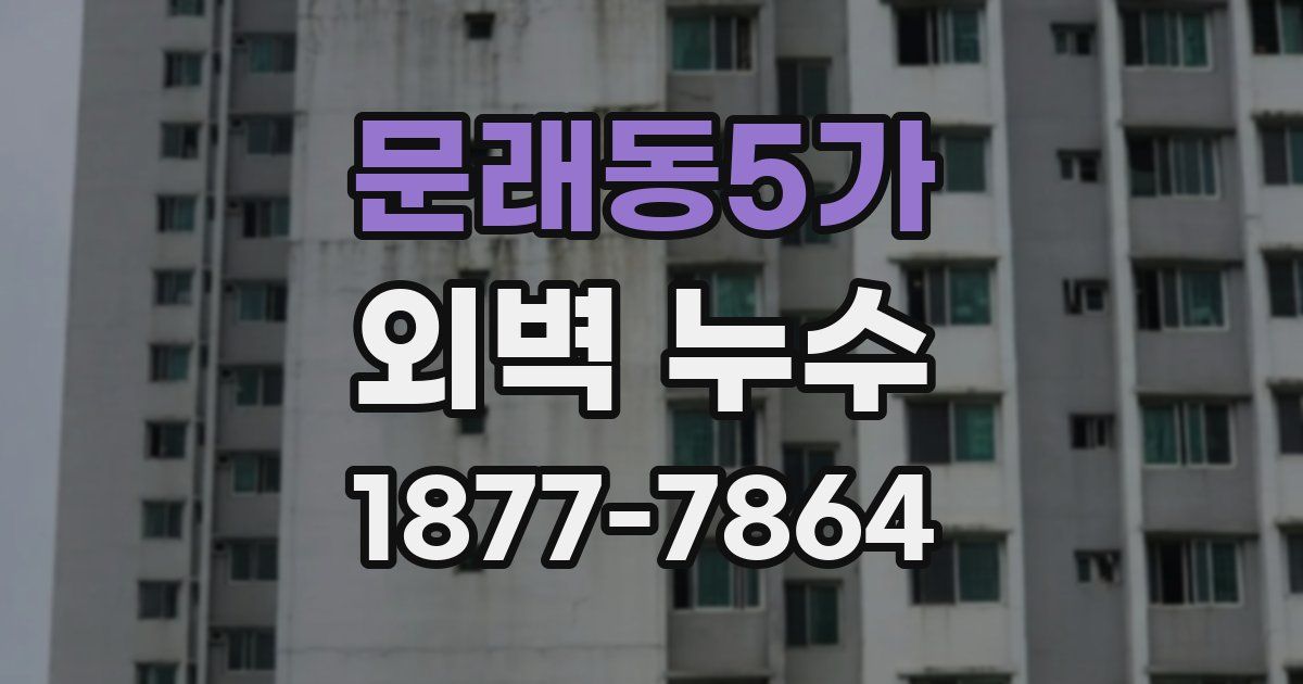 문래동5가 외벽 누수