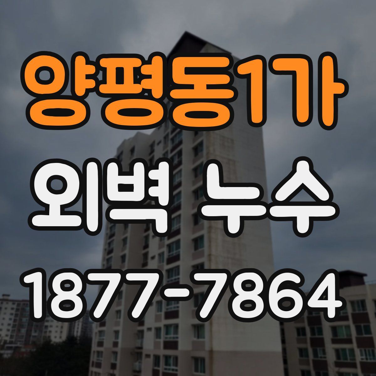 양평동1가 외벽 누수