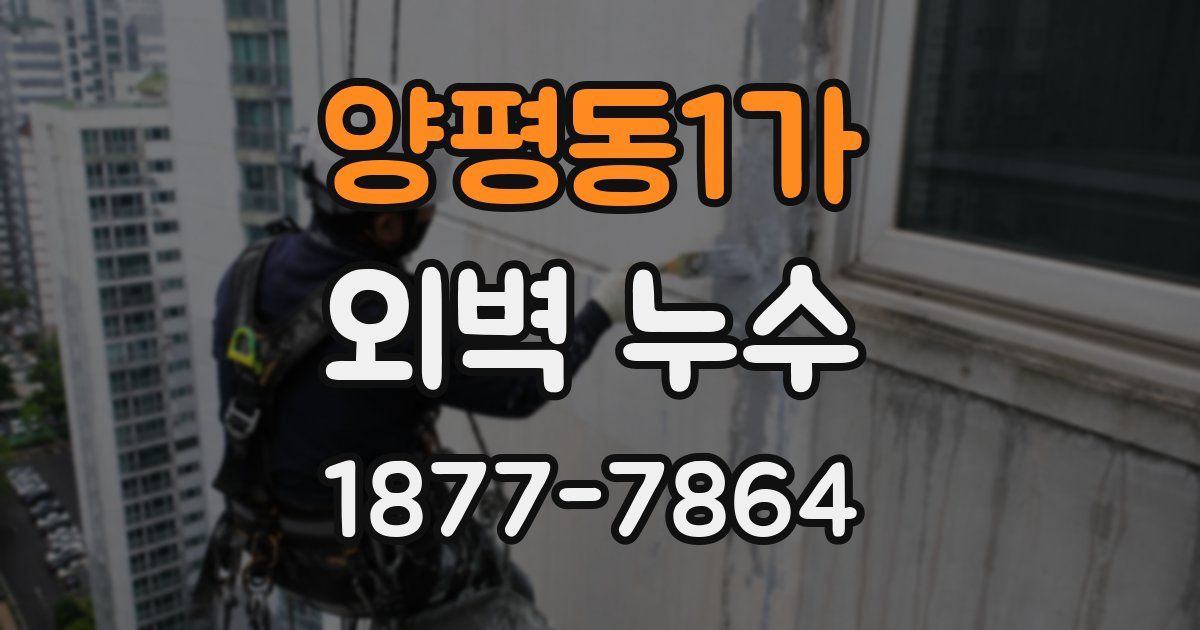 양평동1가 외벽 누수