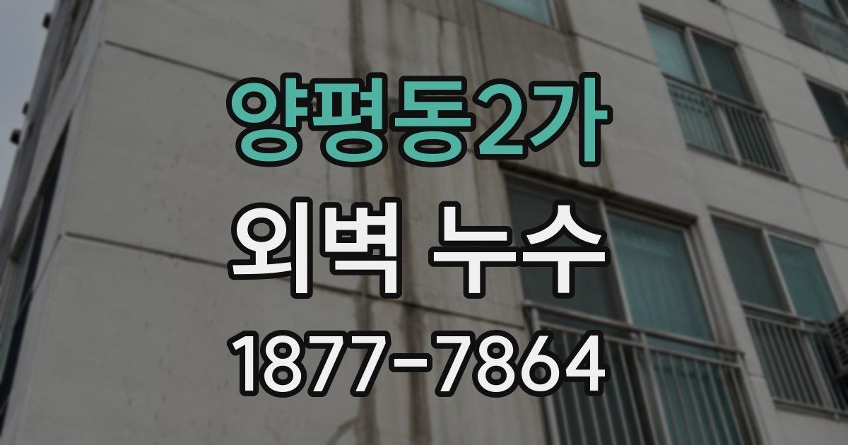 양평동2가 외벽 누수