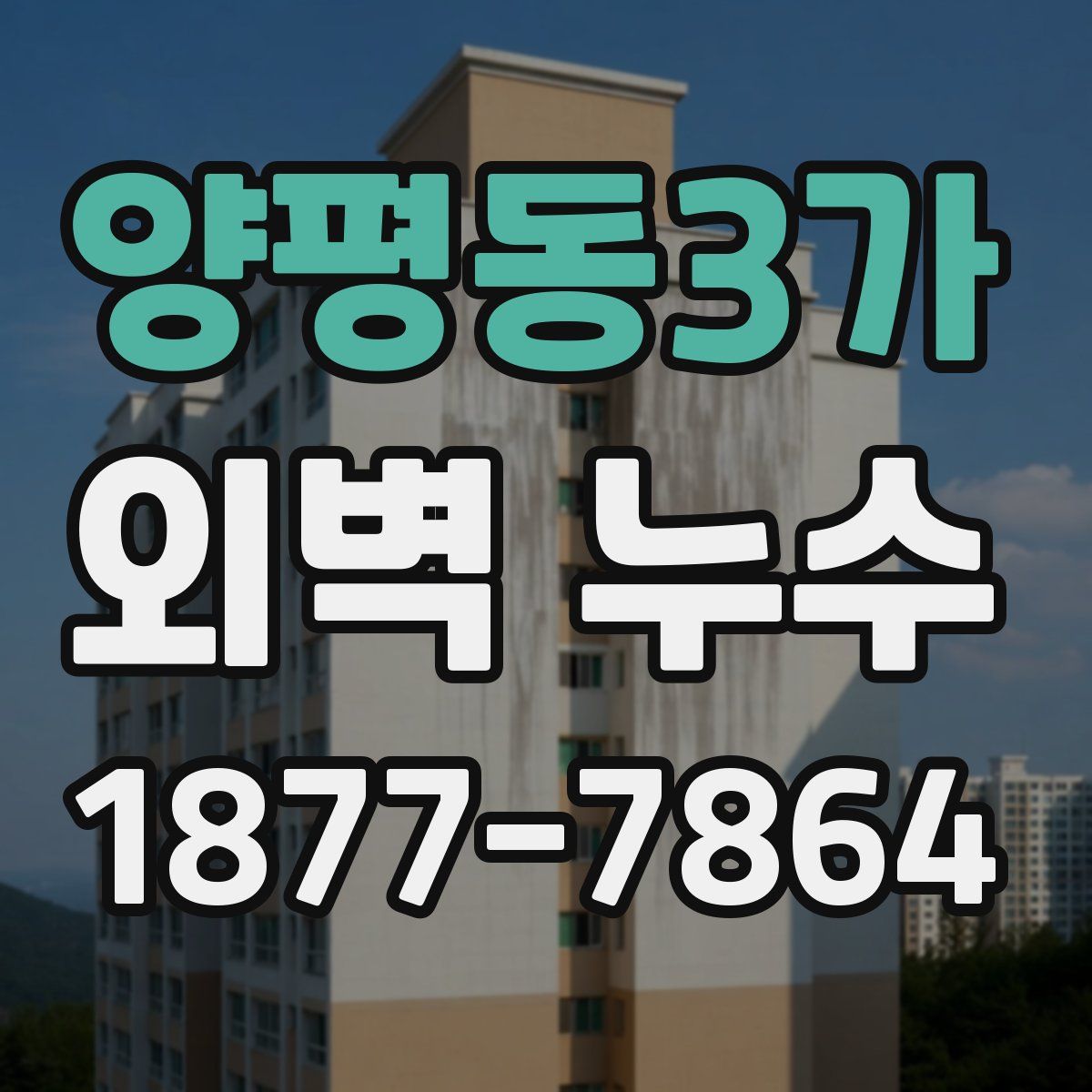 양평동3가 외벽 누수