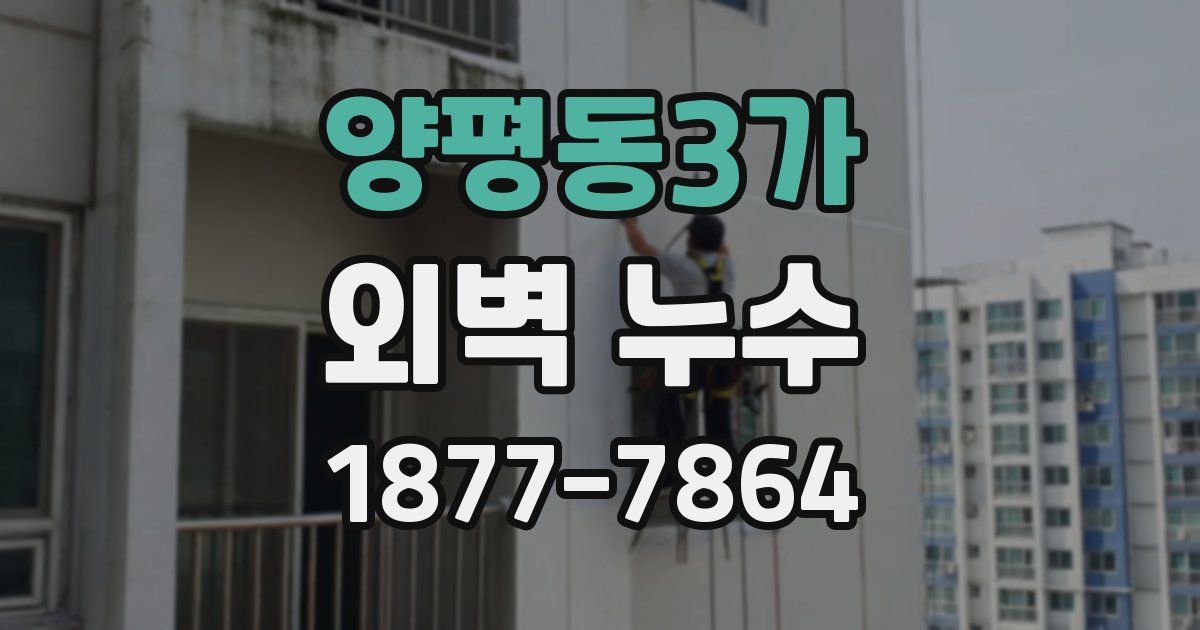 양평동3가 외벽 누수