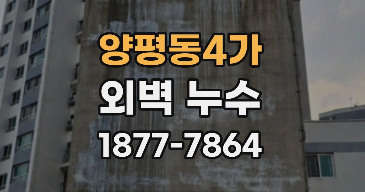 양평동4가 외벽 누수