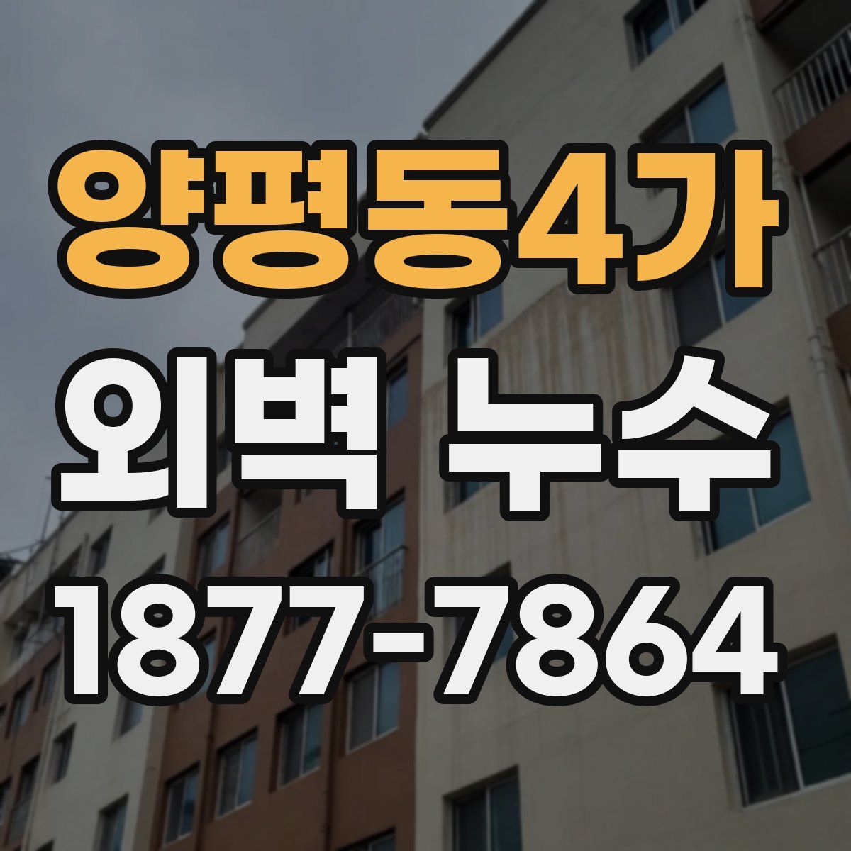 양평동4가 외벽 누수