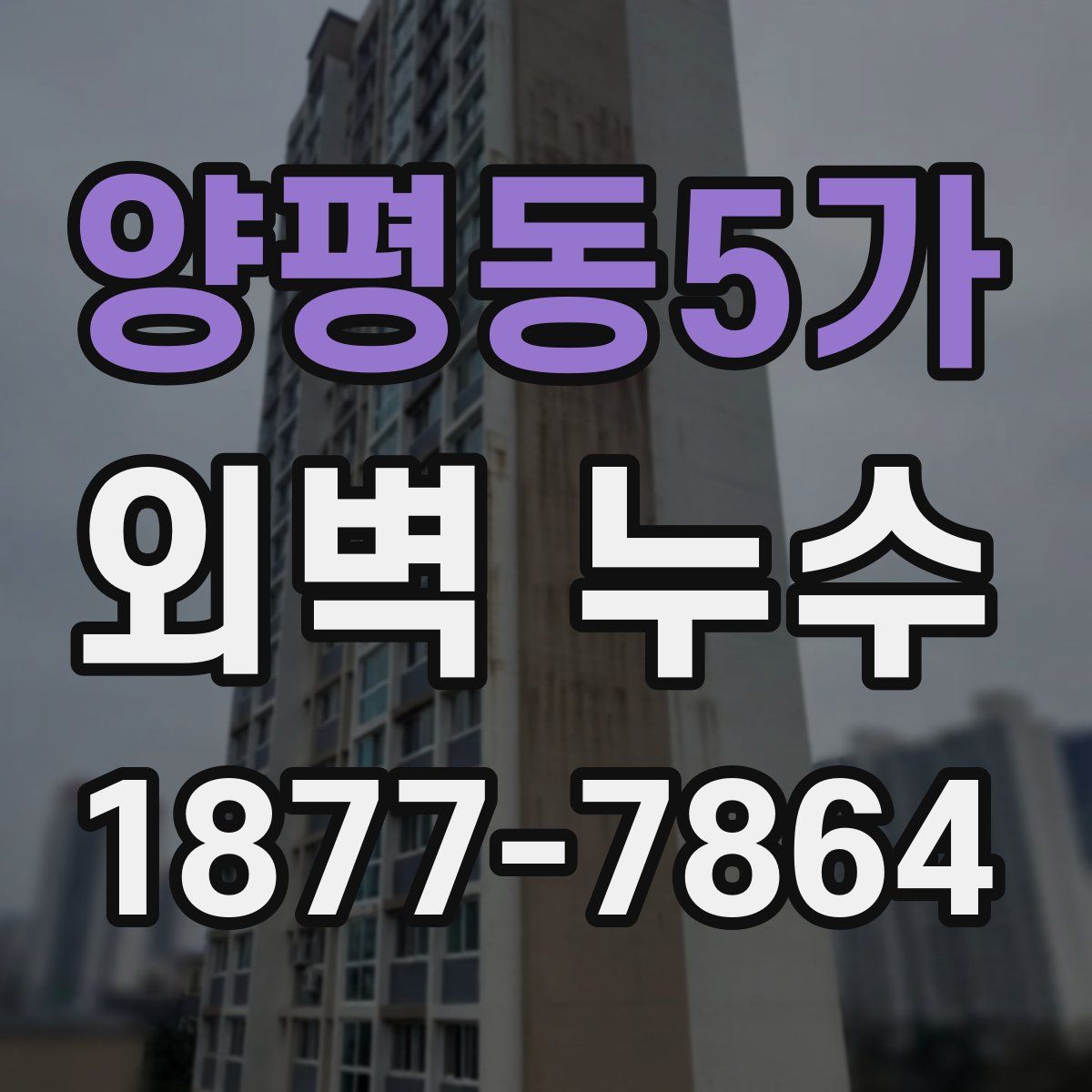 양평동5가 외벽 누수