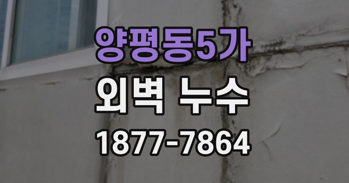양평동5가 외벽 누수