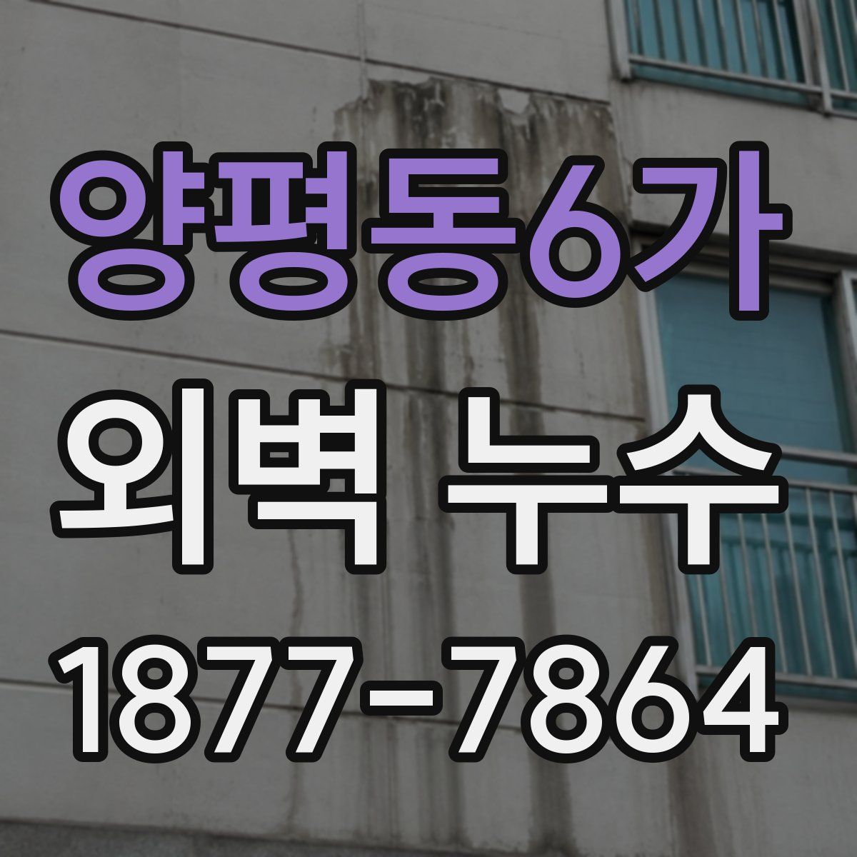 양평동6가 외벽 누수