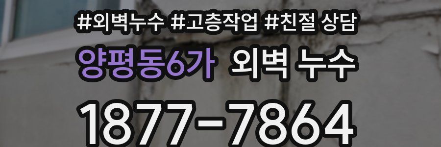 양평동6가 외벽 누수
