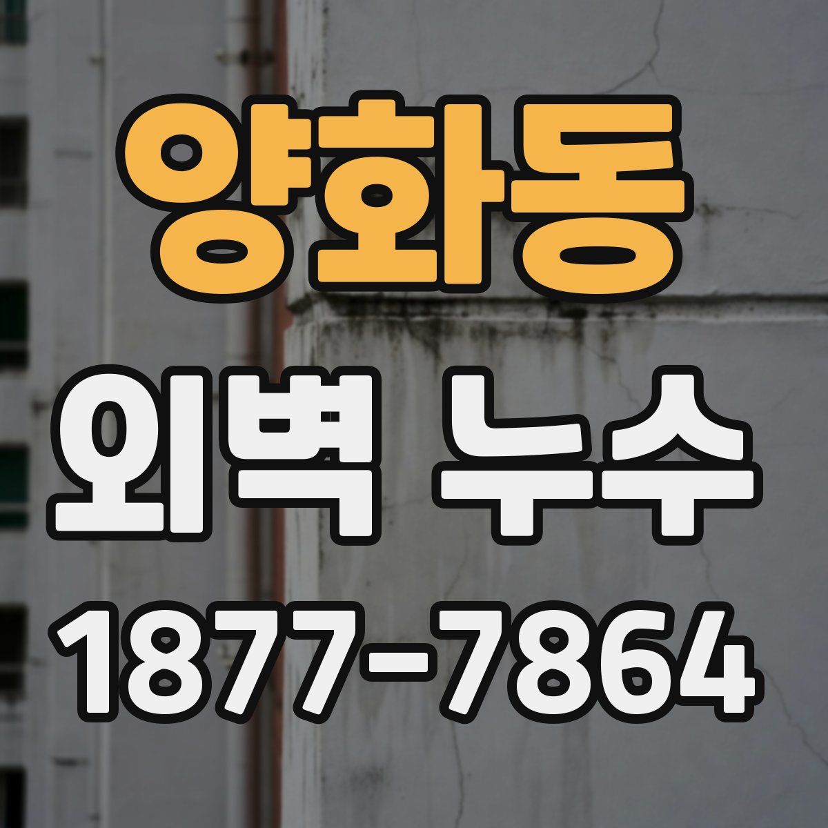 양화동 외벽 누수