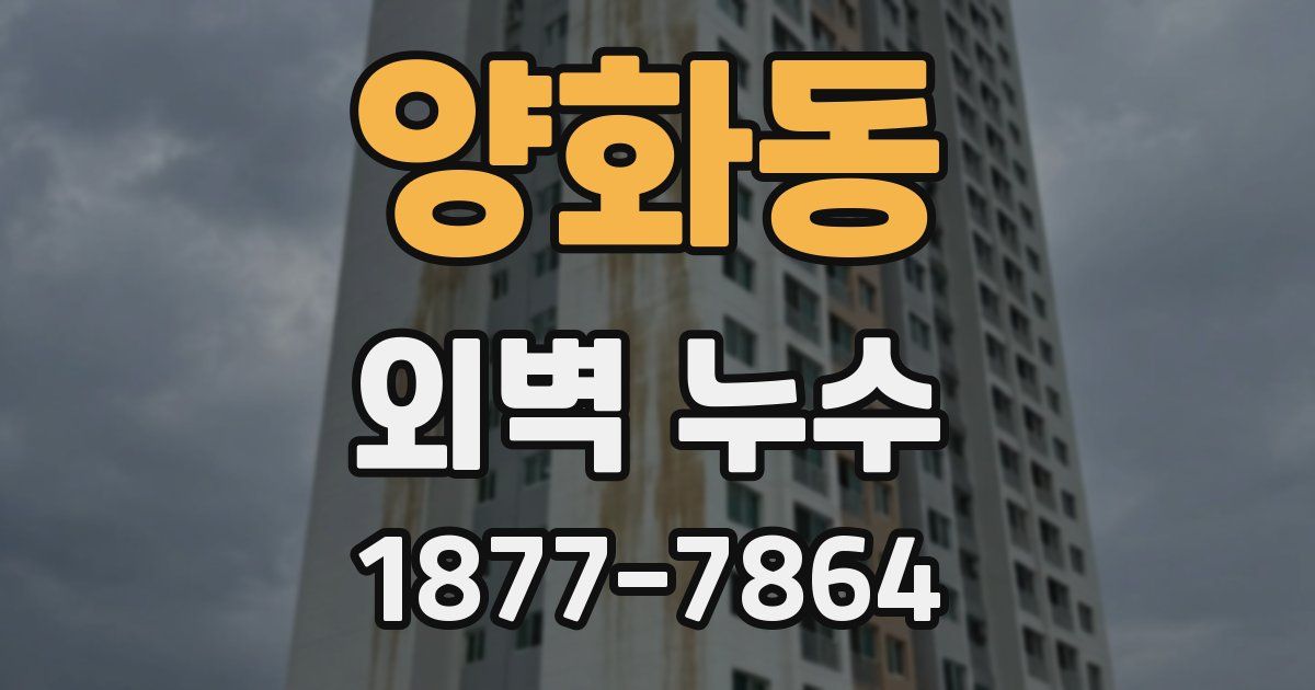 양화동 외벽 누수